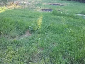 Prodej pozemku pro bydlení, Meziměstí, 2212 m2