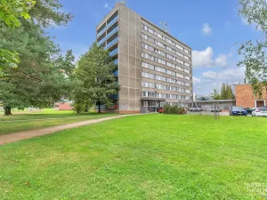 Pronájem kanceláře, Hradec Králové, Akademika Heyrovského, 30 m2