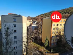 Pronájem bytu 2+1, Karlovy Vary, Krymská, 51 m2