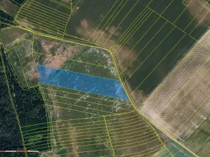 Prodej pole, Džbánice, 29834 m2