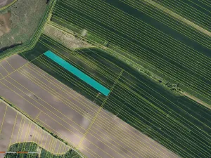 Prodej pole, Šakvice, 28679 m2