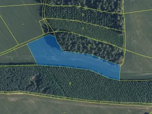 Prodej louky, Zdobín, 145881 m2