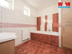 Prodej rodinného domu, Velký Týnec, U nové školy, 310 m2