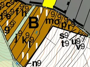 Prodej lesa, Silůvky, 3896 m2