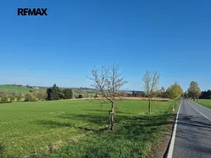 Prodej pozemku pro bydlení, Borová, 7429 m2