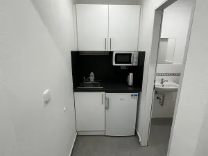 Pronájem komerčního pozemku, Malotice, 350 m2