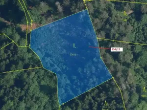 Dražba lesa, Jílové u Držkova, 3821 m2