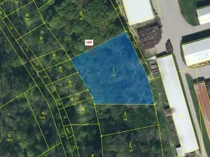 Dražba lesa, Řepníky, 2374 m2