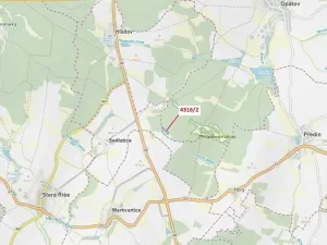 Dražba lesa, Opatov, 7085 m2