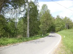 Dražba louky, Líšný, 1958 m2