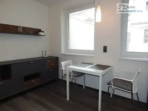 Pronájem bytu 1+kk, Brno, Kučerova, 26 m2