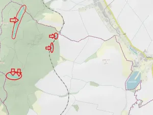Prodej podílu lesa, Nová Hradečná, 2498 m2