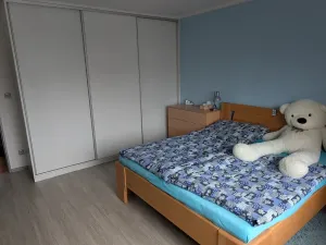 Prodej rodinného domu, Šumice, 250 m2