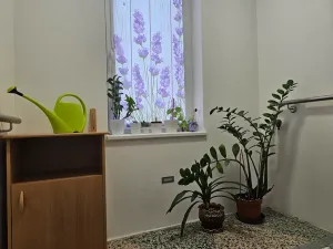 Prodej rodinného domu, Šumice, 250 m2