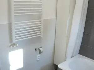 Pronájem bytu 1+1, Žatec, Boženy Němcové, 40 m2