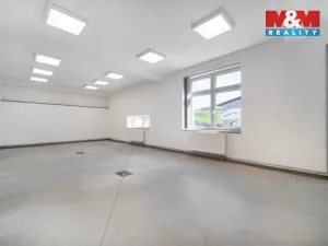 Pronájem výrobních prostor, Albrechtice, 328 m2