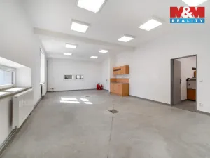 Pronájem výrobních prostor, Albrechtice, 328 m2