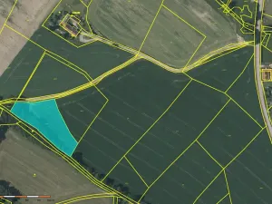 Prodej pole, Brloh, 8119 m2