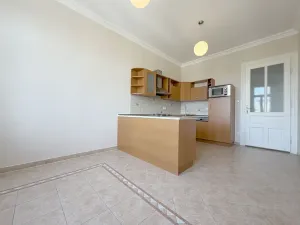 Pronájem bytu 1+1, Praha, Vinohradská, 52 m2