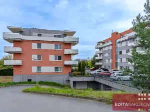 Prodej bytu 3+1, Olomouc, Mošnerova, 81 m2