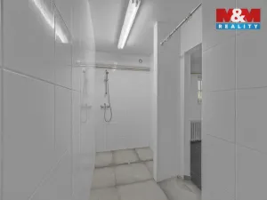 Prodej obchodního prostoru, Hradec Králové - Pražské Předměstí, Seydlerova, 195 m2