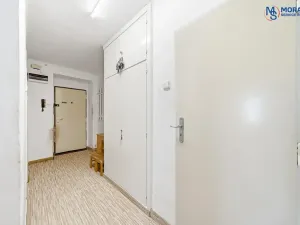 Prodej bytu 2+1, Olomouc, Wolkerova, 60 m2