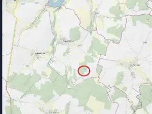 Prodej lesa, Červená Řečice, 308 m2
