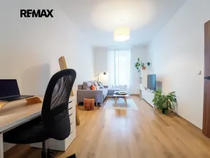 Prodej bytu 2+1, Praha - Karlín, Pernerova, 62 m2