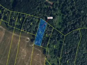 Dražba lesa, Přemyslovice, 1381 m2