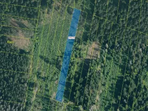 Dražba lesa, Prachatice, 2082 m2