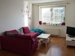 Pronájem bytu 3+1, Uherský Brod, V. Růžičky, 72 m2