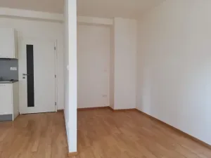 Pronájem bytu 1+kk, Praha - Vršovice, Karpatská, 38 m2