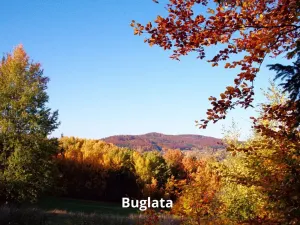 Prodej rodinného domu, České Budějovice, 114 m2