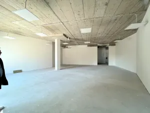 Pronájem obchodního prostoru, Praha - Hloubětín, Waltariho, 141 m2