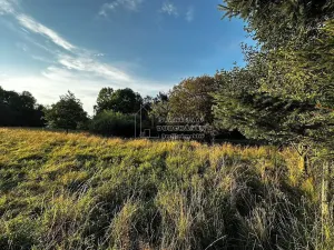 Prodej pozemku pro bydlení, Nová Ves, 4929 m2