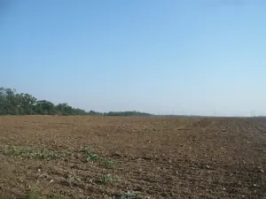 Prodej komerčního pozemku, Veltrusy, 3681 m2