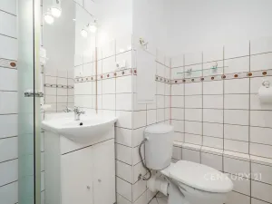 Pronájem bytu 1+kk, Ústí nad Labem, Větrná, 20 m2