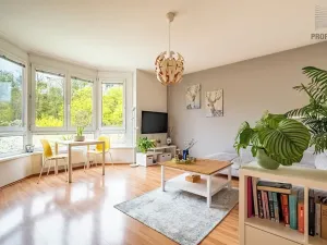 Prodej bytu 2+kk, Brno, Trýbova, 56 m2