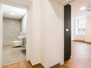 Pronájem bytu 2+kk, Brno, Stavební, 56 m2