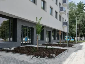 Pronájem bytu 2+kk, Ostrava, Pavlovova, 42 m2