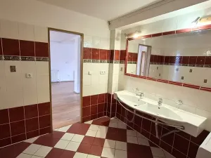 Pronájem bytu 4+kk, Plzeň, Přemyslova, 180 m2