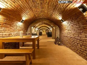 Prodej vícegeneračního domu, Dolní Bojanovice, Vinařská, 367 m2