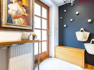 Prodej vícegeneračního domu, Dolní Bojanovice, Vinařská, 367 m2