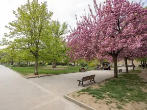 Pronájem bytu 2+kk, Brno, Údolní, 69 m2