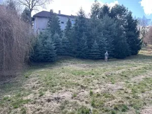 Prodej pozemku pro bydlení, Panenské Břežany, Na plácku, 808 m2