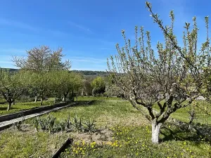 Prodej chaty, Vamberk, 25 m2