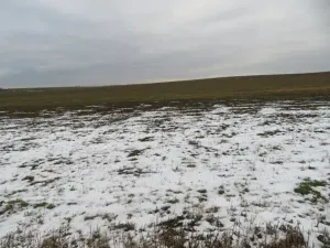 Dražba louky, Račice nad Trotinou, 18528 m2