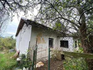 Dražba rodinného domu, Lubenec, Jelení, 164 m2