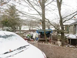 Dražba chaty, Zlatá Koruna, 10 m2