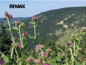 Prodej rodinného domu, Široká Niva, 135 m2